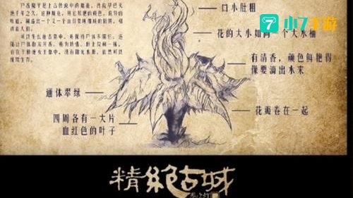 昆仑神木
