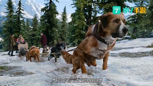 影视狗