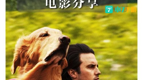 影视狗